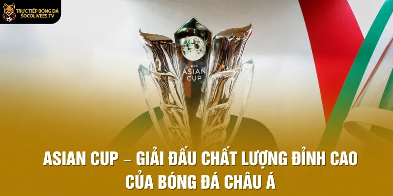 Asian Cup – Giải Đấu Chất Lượng Đỉnh Cao Của Bóng Đá Châu Á