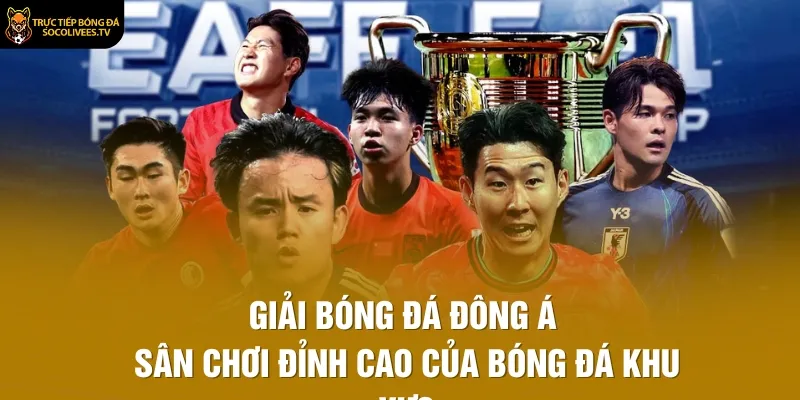 Giải Bóng Đá Đông Á – Sân Chơi Đỉnh Cao Của Bóng Đá Khu Vực