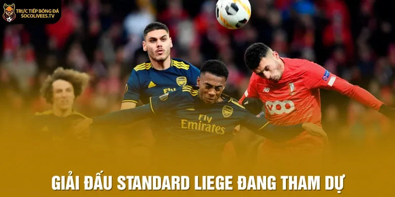 Giải đấu Standard Liege đang tham dự