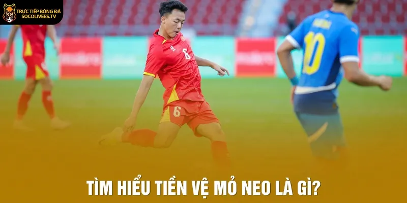Tìm hiểu tiền vệ mỏ neo là gì?
